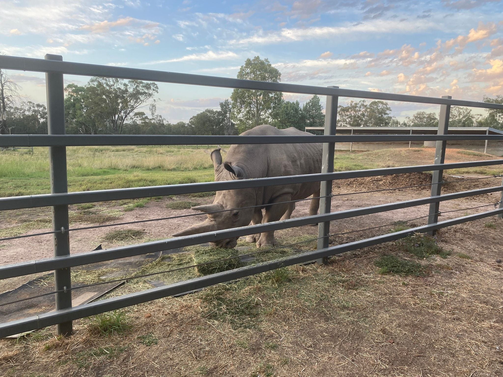 Dubbo Zoo 2025 Image -67de047fd847e